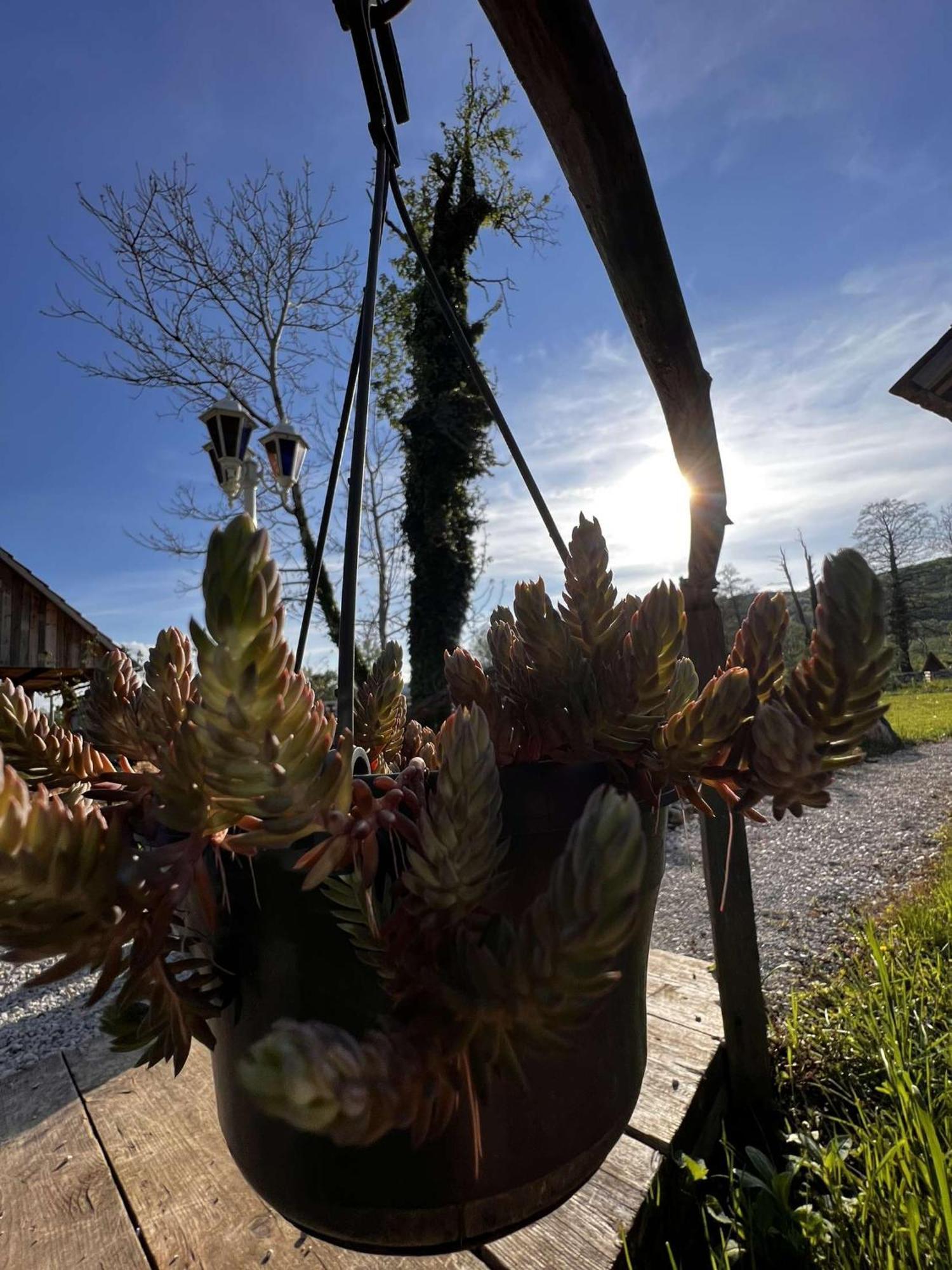 Edenski Vrt Ivancna Gorica Eksteriør bilde